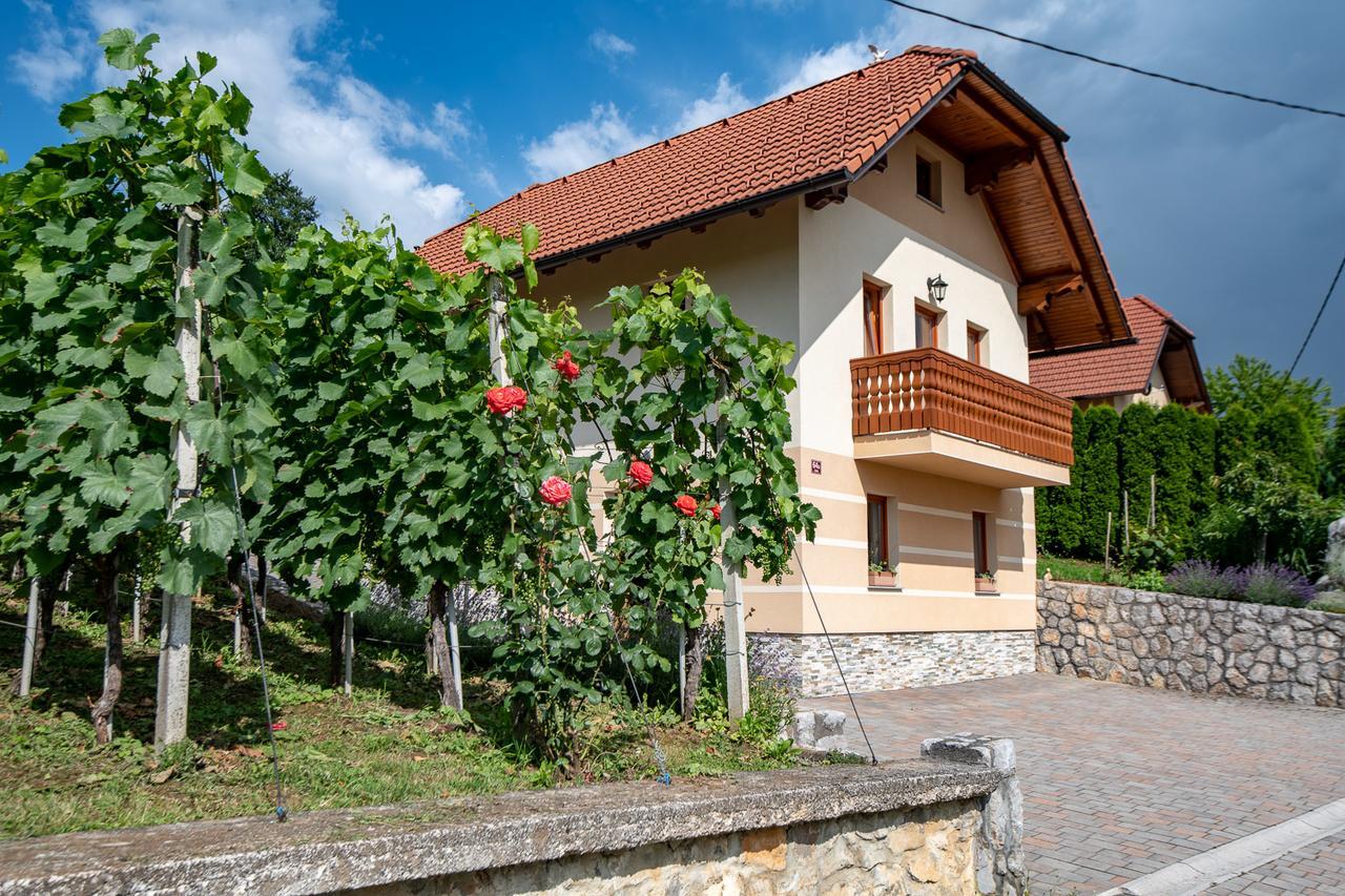 Vineyard Cottage Pod Piramido Dobrnic Εξωτερικό φωτογραφία
