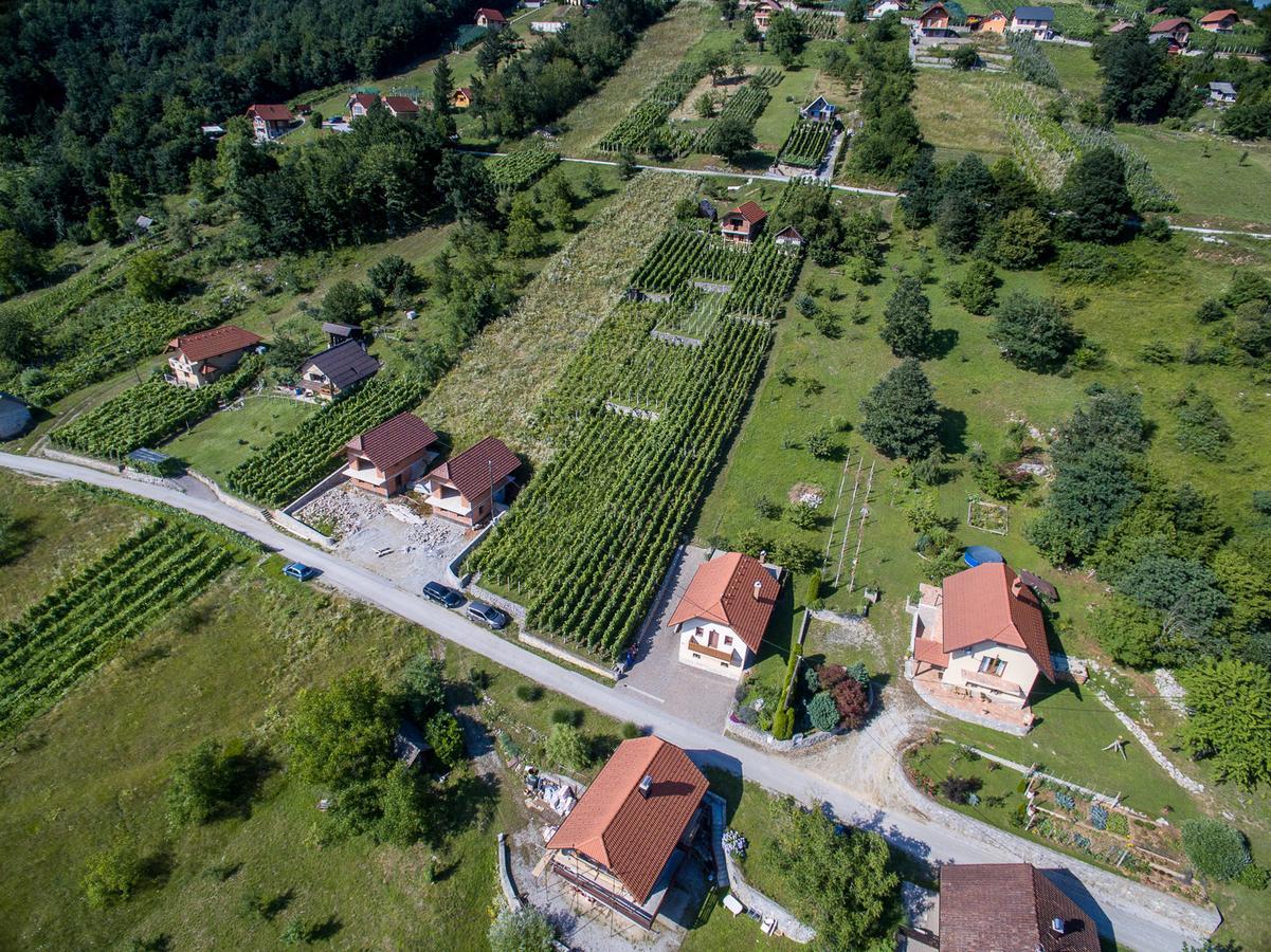 Vineyard Cottage Pod Piramido Dobrnic Εξωτερικό φωτογραφία