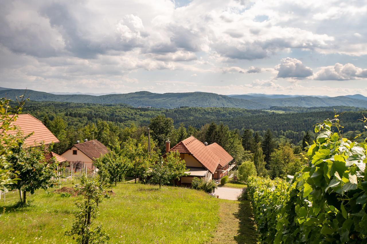 Vineyard Cottage Pod Piramido Dobrnic Εξωτερικό φωτογραφία