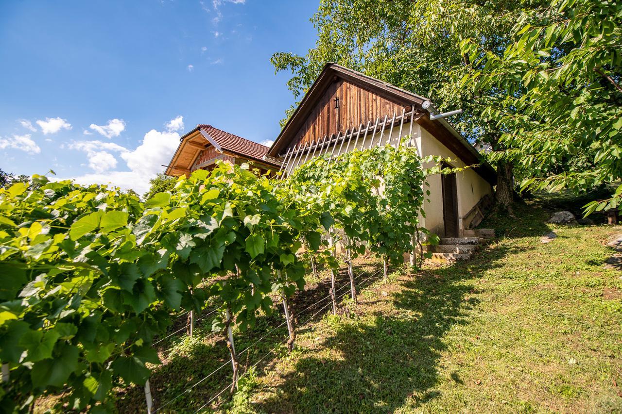 Vineyard Cottage Pod Piramido Dobrnic Εξωτερικό φωτογραφία